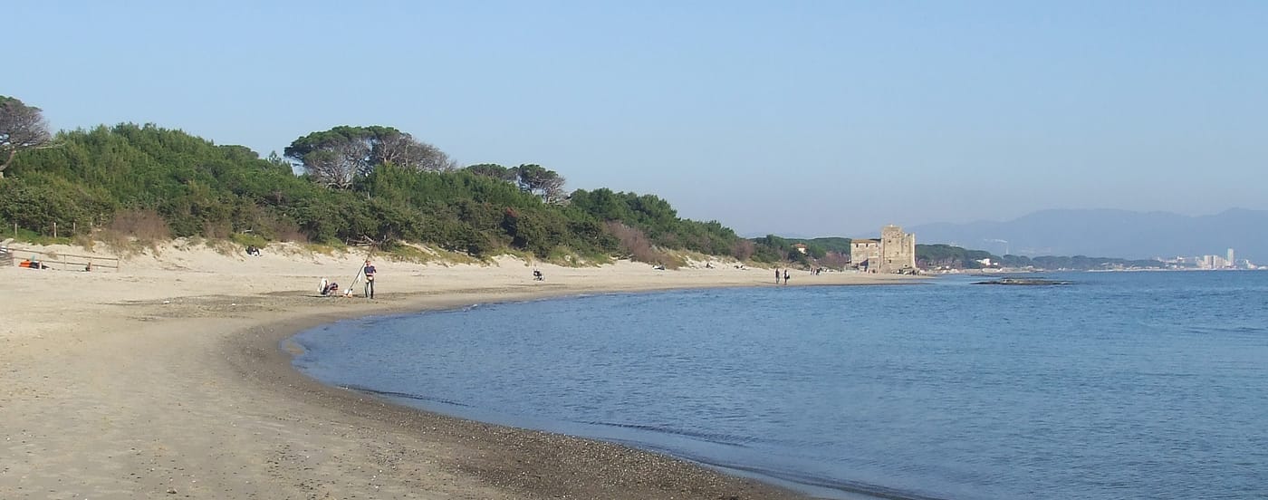 The Area